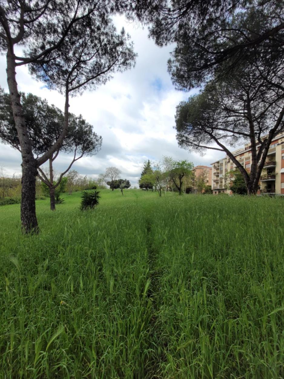 Panoramico Eur Lejlighed *